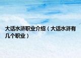 大话水浒职业介绍（大话水浒有几个职业）