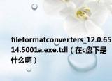 fileformatconverters_12.0.6514.5001a.exe.tdl（在c盘下是什么啊）