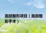 面部整形项目（面部整形手术）