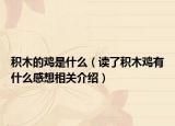 积木的鸡是什么（读了积木鸡有什么感想相关介绍）