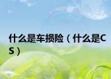 什么是车损险（什么是CS）