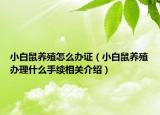 小白鼠养殖怎么办证（小白鼠养殖办理什么手续相关介绍）