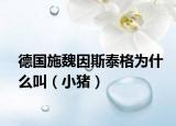 德国施魏因斯泰格为什么叫（小猪）