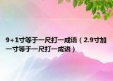9+1寸等于一尺打一成语（2.9寸加一寸等于一尺打一成语）