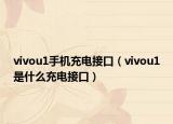 vivou1手机充电接口（vivou1是什么充电接口）