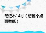 笔记本14寸（想搞个桌面壁纸）