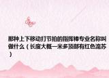 那种上下移动打节拍的指挥棒专业名称叫做什么（长度大概一米多顶部有红色流苏）
