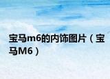 宝马m6的内饰图片（宝马M6）