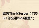 联想ThinkServer（TS530 怎么进bios设置?）