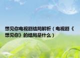 想见你电视剧结局解析（电视剧《想见你》的结局是什么）