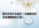 阳元石在什么地方（元阳县马牙石在哪里相关介绍）