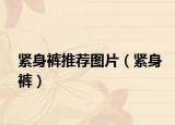紧身裤推荐图片（紧身裤）
