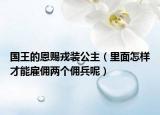 国王的恩赐戎装公主（里面怎样才能雇佣两个佣兵呢）