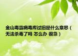 金山毒霸病毒库过旧是什么意思（无法杀毒了吗 怎么办 很急）