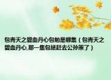 包青天之碧血丹心包勉是哪集（包青天之碧血丹心,那一集包拯赶去公孙策了）