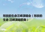 怒放的生命汪峰演唱会（怒放的生命 汪峰演唱歌曲）