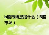 b股市场是指什么（B股市场）