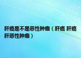 肝癌是不是恶性肿瘤（肝癌 肝癌肝恶性肿瘤）