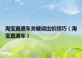 淘宝直通车关键词出价技巧（淘宝直通车）