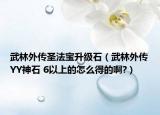 武林外传圣法宝升级石（武林外传YY神石 6以上的怎么得的啊?）
