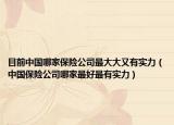 目前中国哪家保险公司最大大又有实力（中国保险公司哪家最好最有实力）