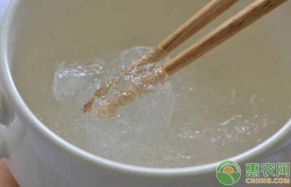 燕窝是哪里的好？燕窝是怎么形成的？