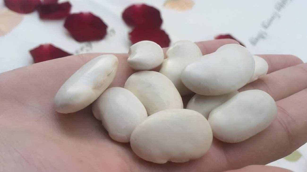 什么原因导致的肾脏疾病蛋白尿？