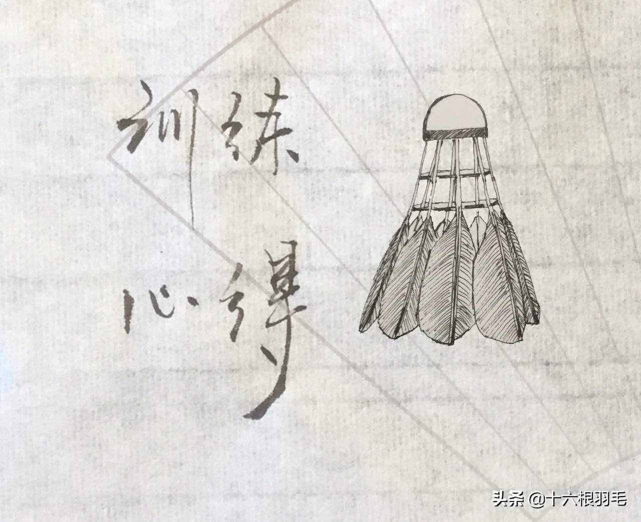 动图详解羽毛球高远球及训练要领