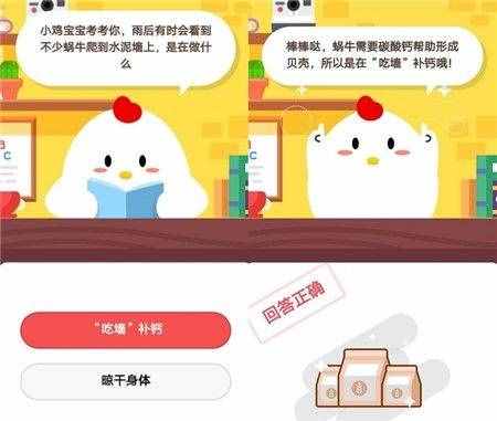 雨后有时会看到不少蜗牛爬到水泥墙上，是在做什么 蚂蚁庄园10月28日今日答案