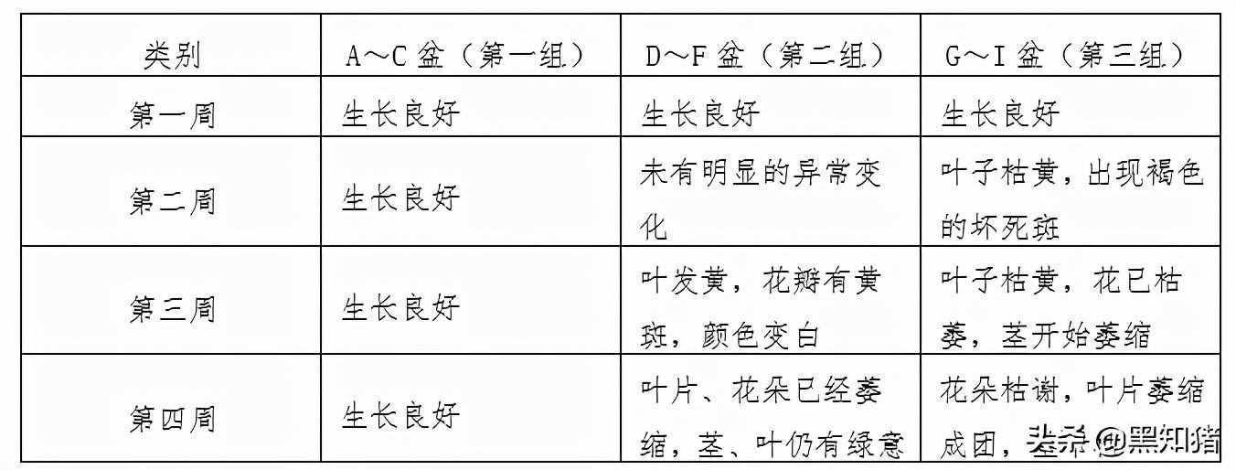 二氧化硫对植物的危害，实验证实结果，如今治理已显成效