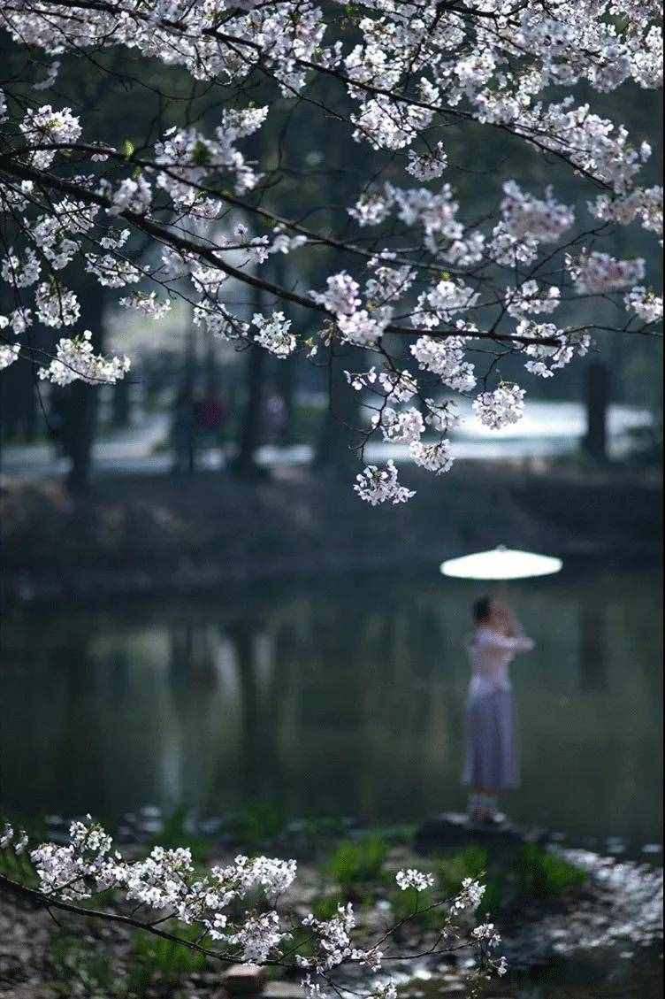 “三月三”，一个富有浪漫情调的节日