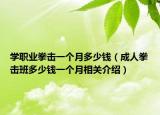 学职业拳击一个月多少钱（成人拳击班多少钱一个月相关介绍）