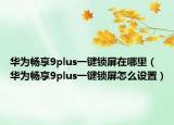华为畅享9plus一键锁屏在哪里（华为畅享9plus一键锁屏怎么设置）