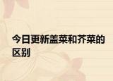 今日更新盖菜和芥菜的区别