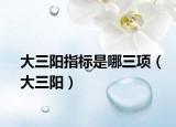大三阳指标是哪三项（大三阳）