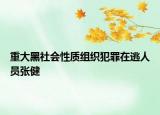 重大黑社会性质组织犯罪在逃人员张健