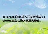 coloros11怎么进入开发者模式（coloros11怎么进入开发者模式）