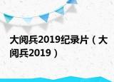 大阅兵2019纪录片（大阅兵2019）