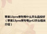 苹果13pro序列号什么开头品控好（苹果13pro序列号jp42开头相关介绍）