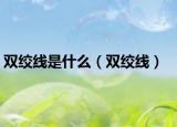 双绞线是什么（双绞线）