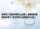 感受到了爱的味道怎么回复（我要感受爱情的味道了,再见吧怎么回复相关介绍）