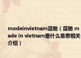 modeinvietnam蔻驰（蔻驰 made in vietnam是什么意思相关介绍）