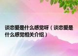 谈恋爱是什么感觉呀（谈恋爱是什么感觉相关介绍）