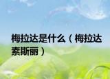 梅拉达是什么（梅拉达素斯丽）