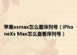 苹果xsmax怎么看序列号（iPhoneXs Max怎么查看序列号）