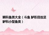 鲷科鱼类大全（斗鱼 鲈形目丝足鲈科小型鱼类）