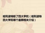 哈利波特除了四大学院（哈利波特四大学院哪个最弱相关介绍）
