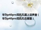 华为p40pro耳机孔插上没声音（华为p40pro耳机孔在哪里）