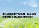 山东蓝海职业学校电话（山东蓝海职业学校有复印社吗相关介绍）