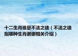 十二生肖谁是不法之徒（不法之徒 指哪种生肖谢谢相关介绍）